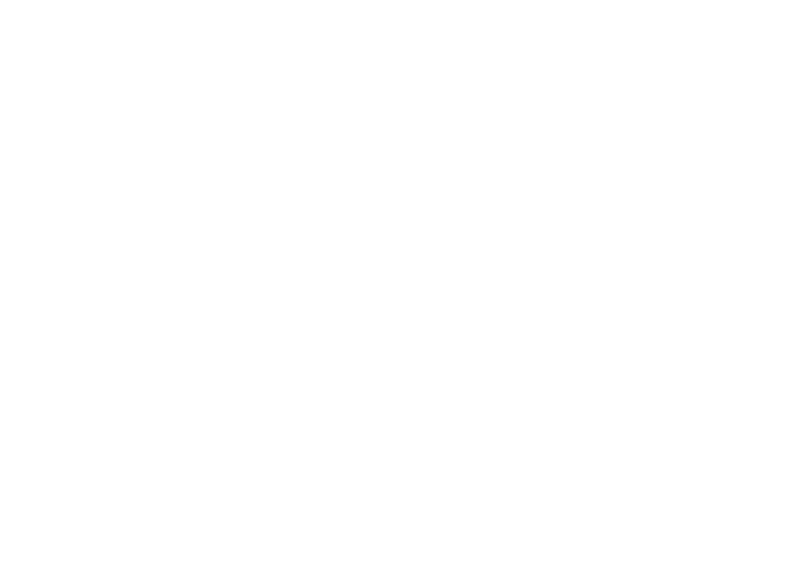 Rizz Roofing
